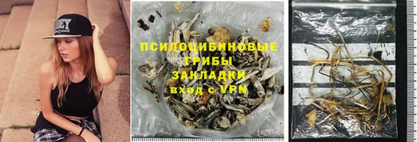 2c-b Верхний Тагил