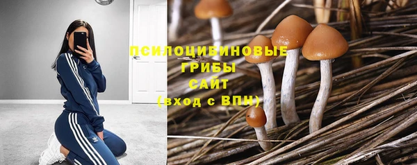 2c-b Верхний Тагил
