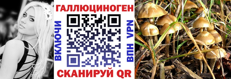 Галлюциногенные грибы прущие грибы MEGA вход Мончегорск